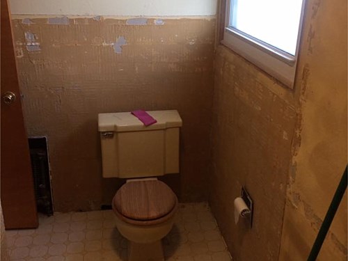 Photo 51