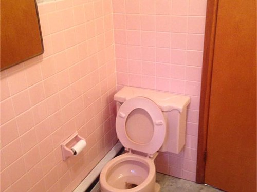 Photo 114